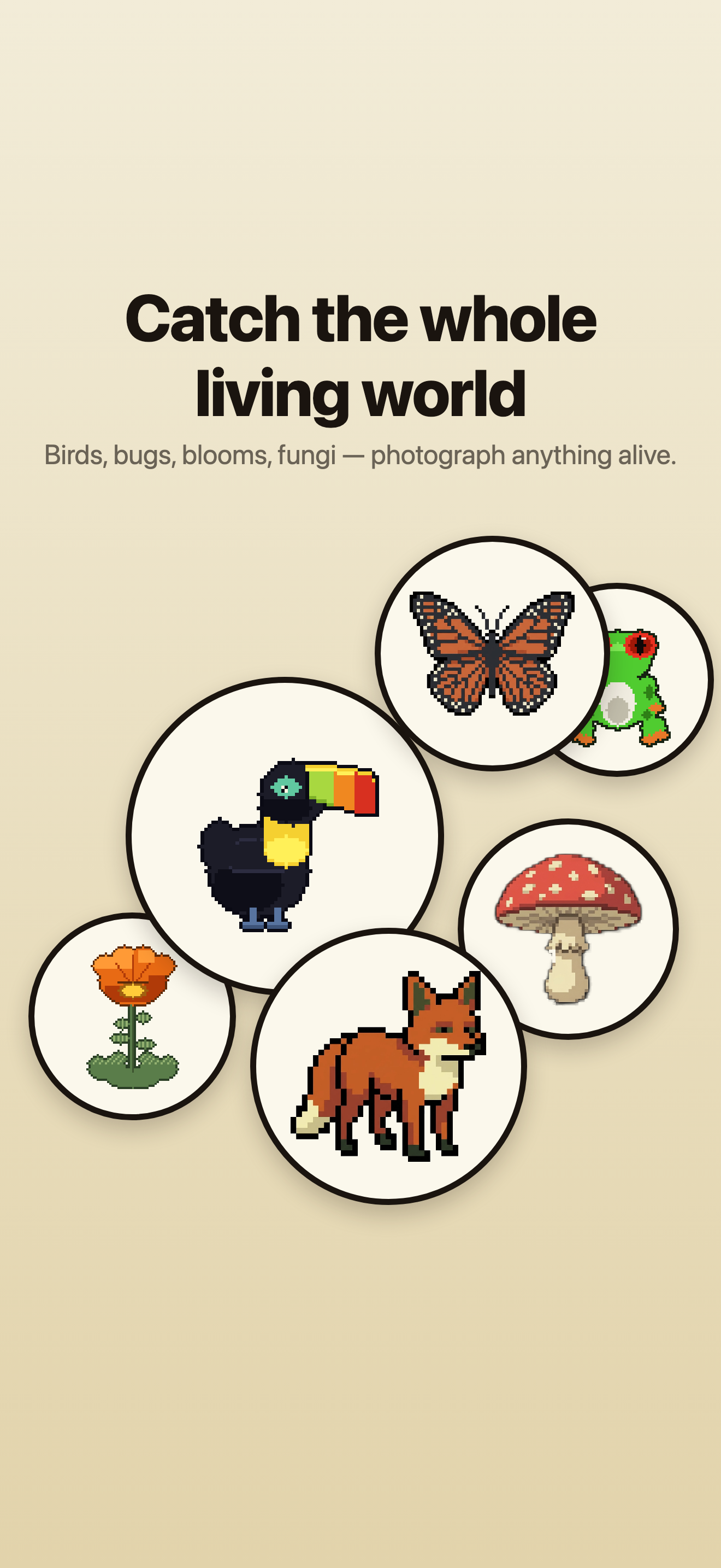 Pixel Wild screenshot